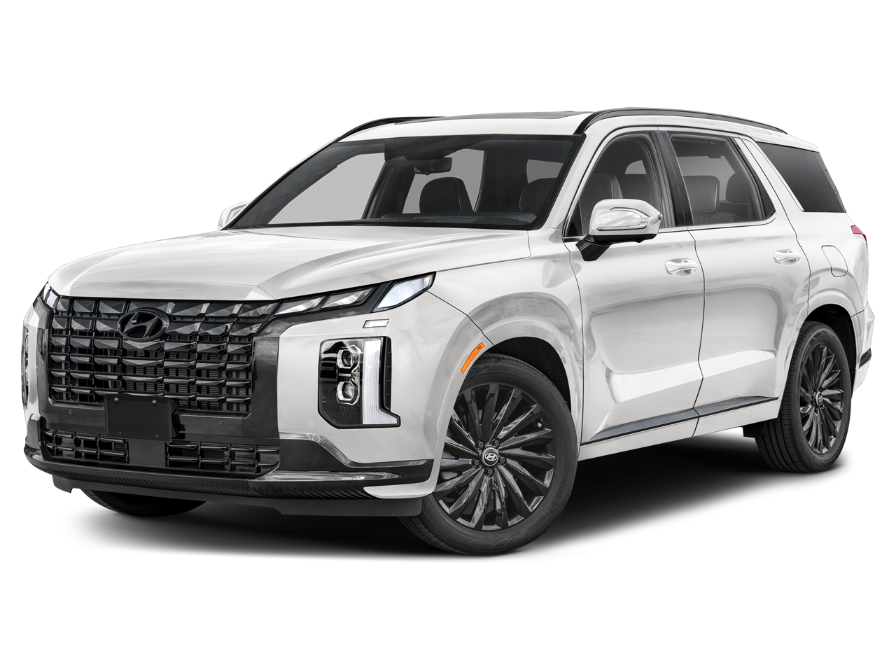 2025 Hyundai Palisade Calligraphy Night Edition AWD's photo