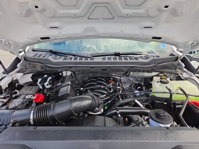 2025 Ford Super Duty F-350 DRW XL