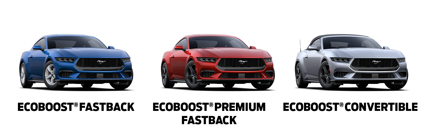 2024 Ford Mustang Aschenbach Ford in Wytheville, VA