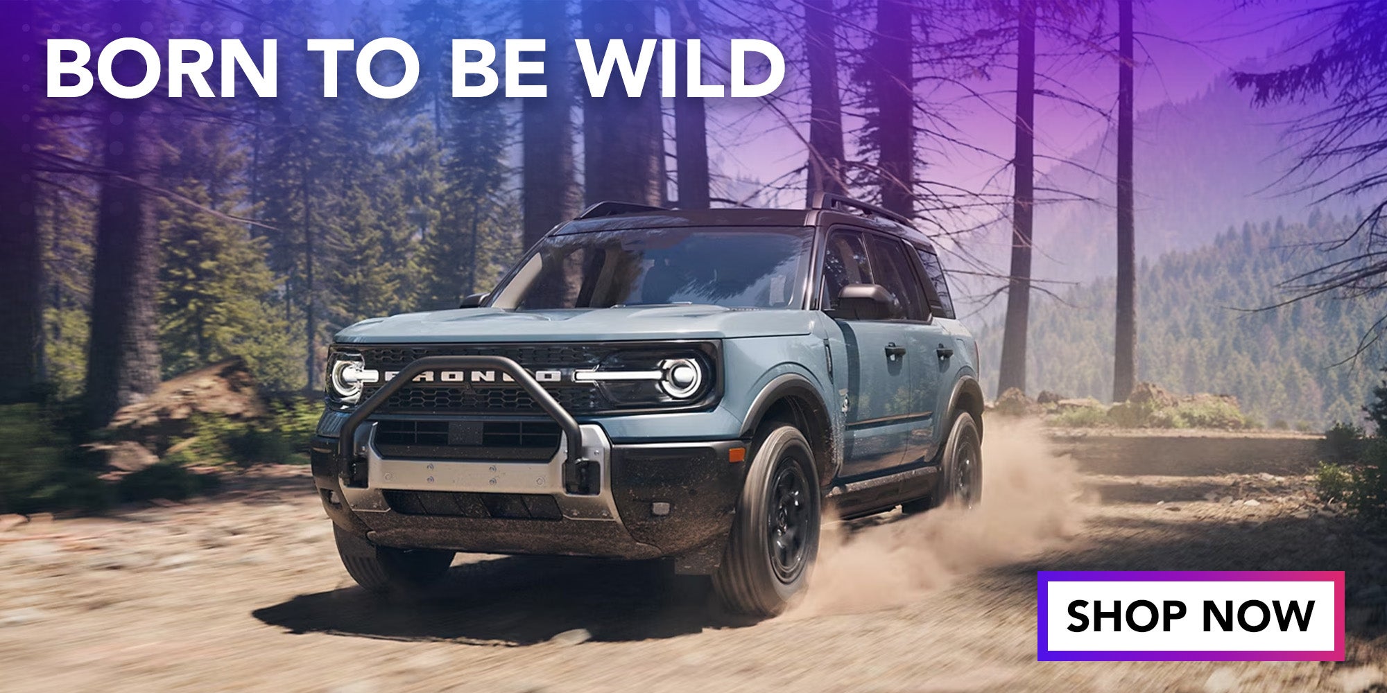 2025 Ford Bronco Sport Wytheville VA